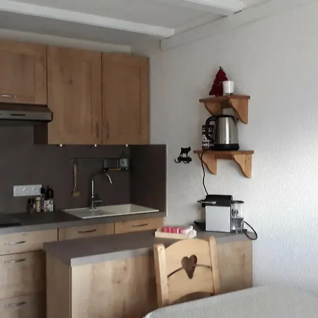 Appartement Studio Châtel, 1 pièce, 3 personnes - FR-1-200-283 *